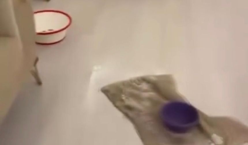 Yoğun yağışta TOKİ konutunda daireyi su bastı