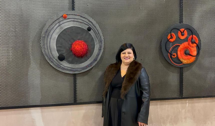 Mikroskobun altındaki dünya, Niğde’de sanata dönüştü