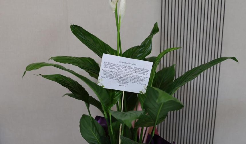 Sevgililer Günü’nde belediyeye anlamlı sürpriz