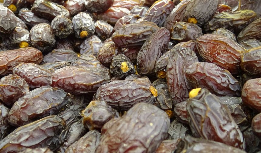Ramazan vazgeçilmezi hurma tezgahlardaki yerini aldı