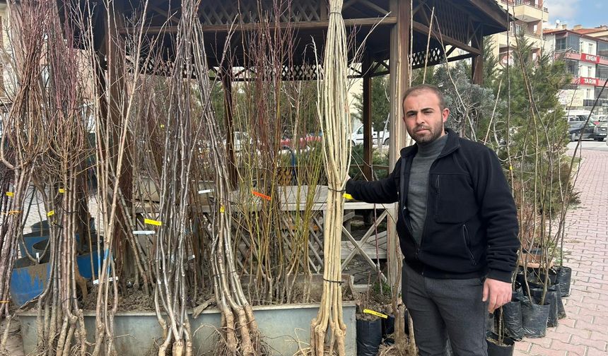 Havaların ısınması Niğde’de fidan satışlarını arttı