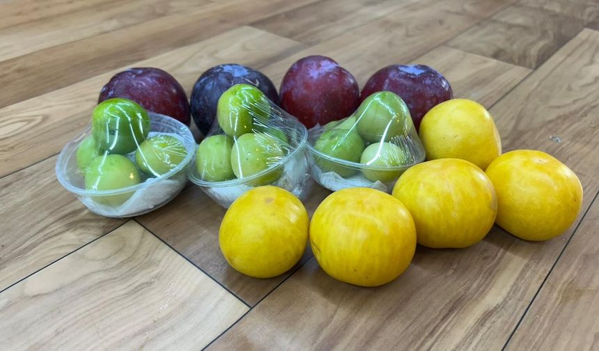 Niğde’de  fiyatını duyan şok oluyor