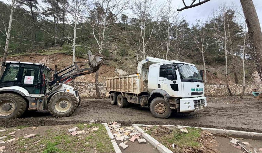 Yaşam alanlarına bahar düzenlemesi
