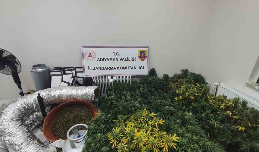 Jandarmadan uyuştu*rucu operasyonu: 1 gözaltı