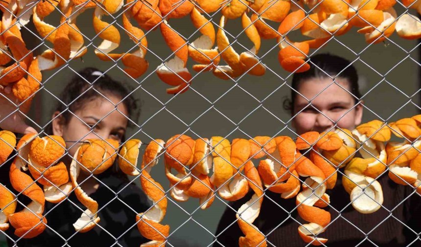 Limon ve turunç kabukları kadınların elinde değerleniyor