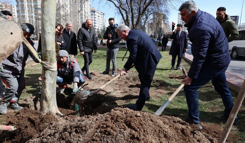 İlkbahar ağaç dikimiyle başladı