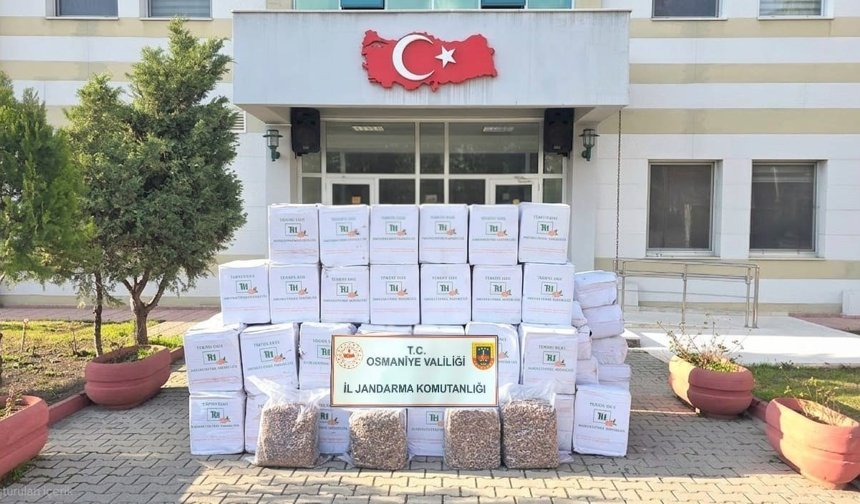 Jandarma bir haftada 109 şüpheliyi yakaladı