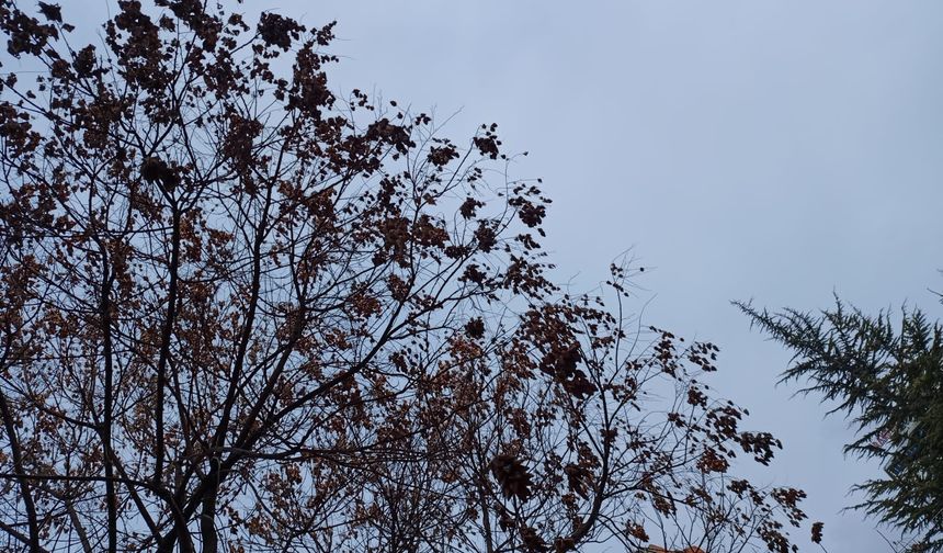 Niğde’de önümüzdeki günlerde hava nasıl olacak?