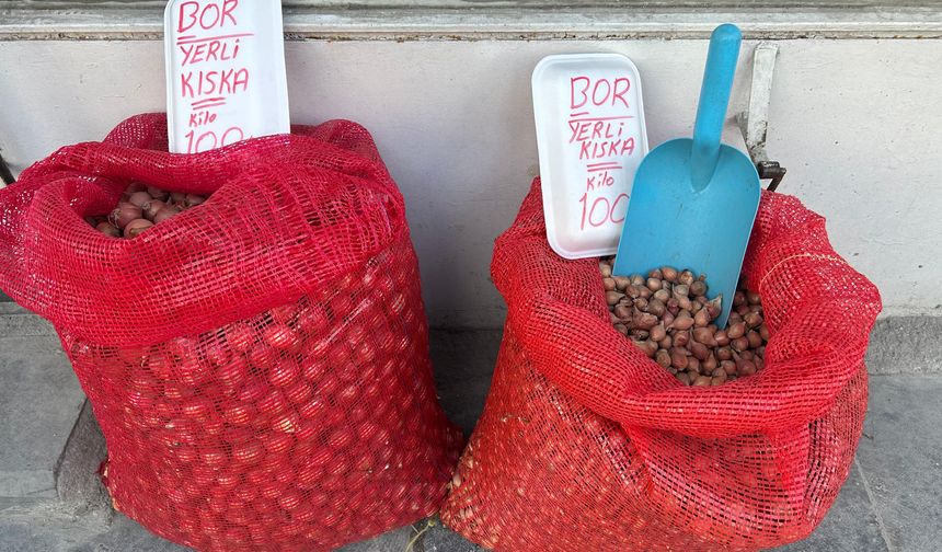Niğde’de tohumluk kuru soğan satışları başladı