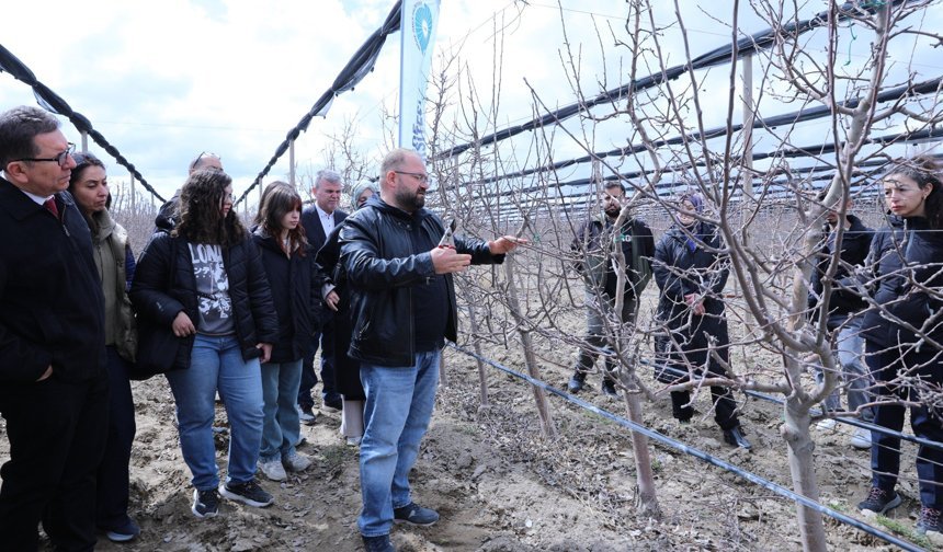Meyve ağaçlarında doğru budama yöntemleri öğretildi