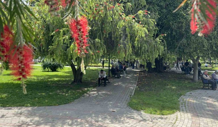 Termometreler 41 dereceyi gösterdi