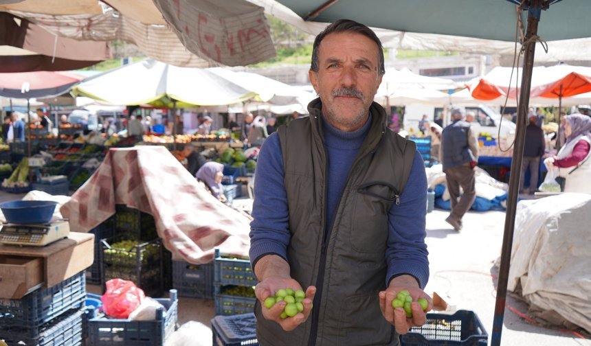Niğde’de erik fiyatları düşüşte