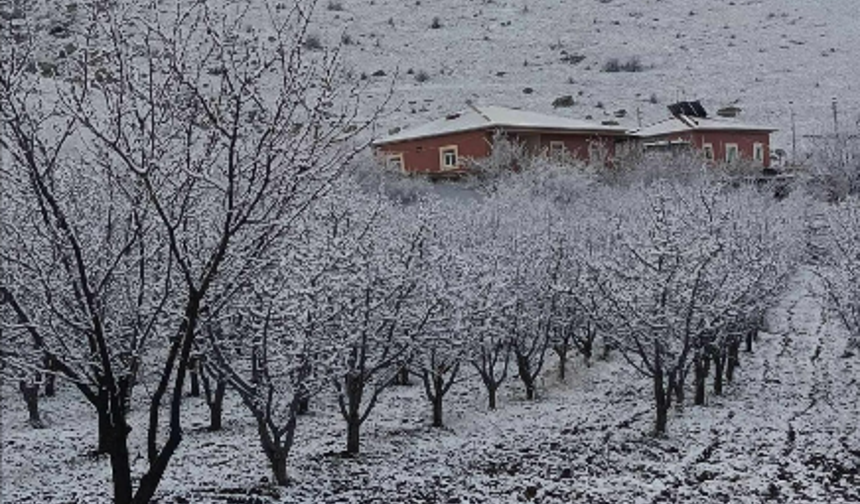 Niğde’de kar yağışı üreticiyi tedirgin etti