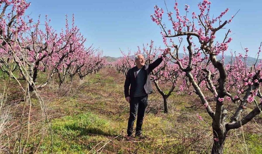 Meyve bahçelerinde entegre mücadele çalışması