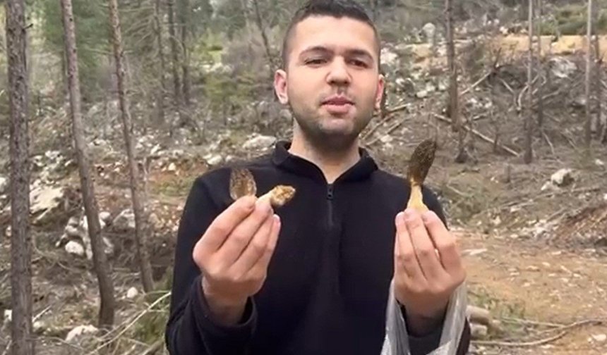 Kuzu göbeği bereketi