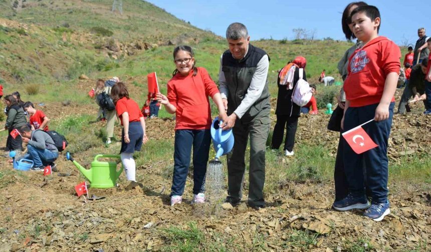 106 fidan toprakla buluştu