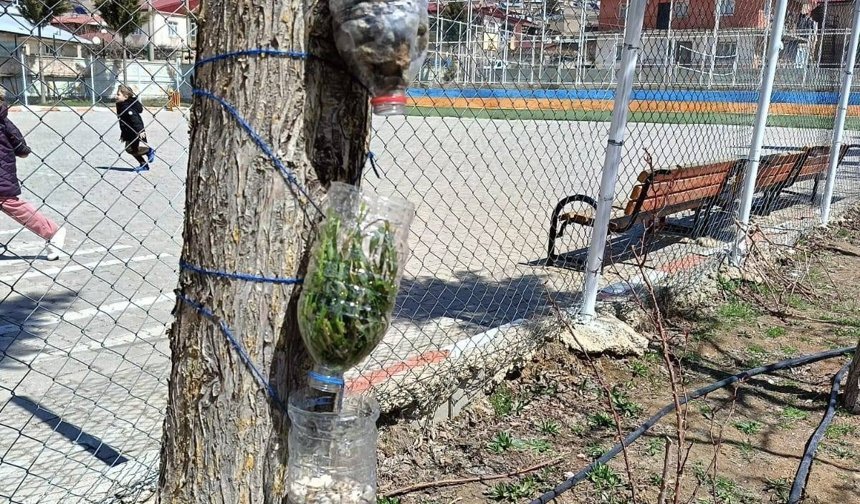 Çamardı'da küçük ellerden büyük farkındalık