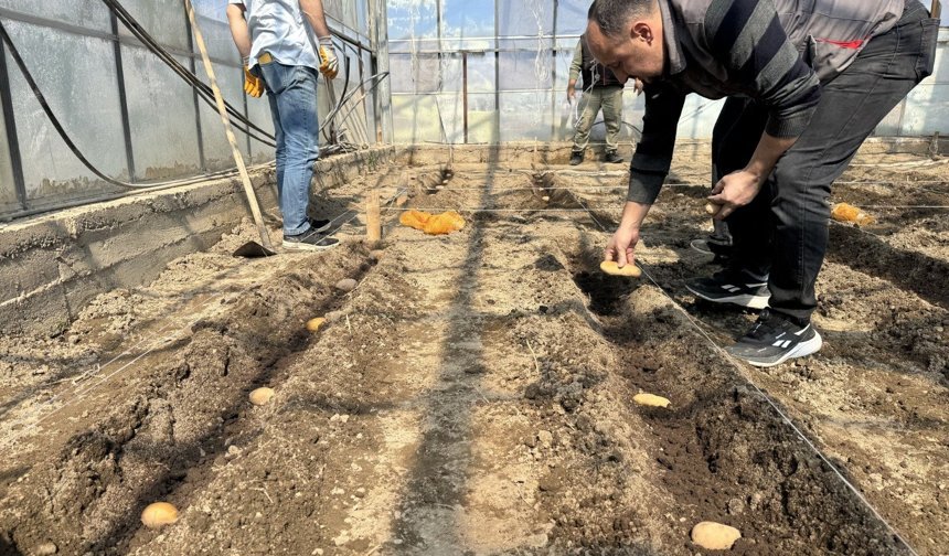 Niğde’de Patates Araştırma Enstitüsü yeni sezona hazır