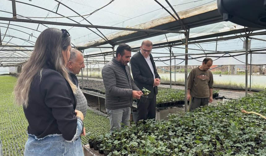 Bor’da seralarda saha incelemesi gerçekleştirildi