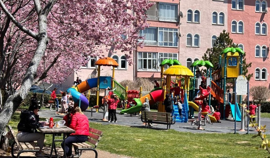 Niğde’de bahar coşkusu sokaklara taştı