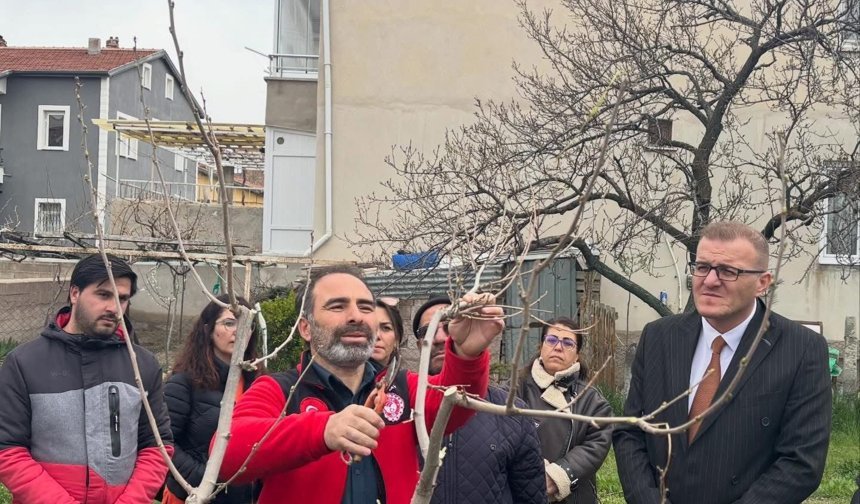 Bor’da budama kursu sahada sürüyor