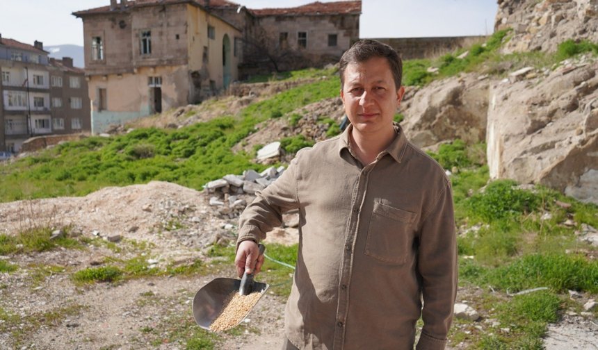 Niğde’de güvercin sevdası: “Onlar için her gün geliyorum”