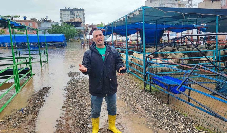 Kurban pazarını sel vurdu, besici gözyaşlarına boğuldu