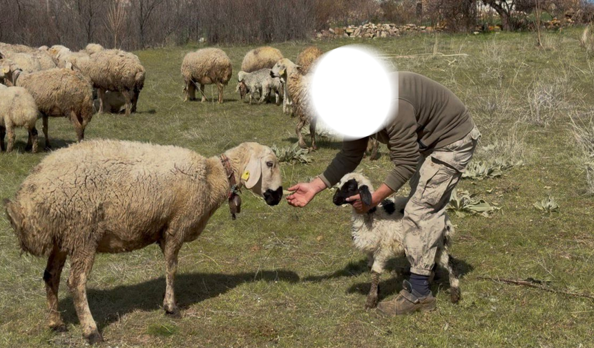 Niğde’de devlet desteğiyle yeni bir hayat kurdu