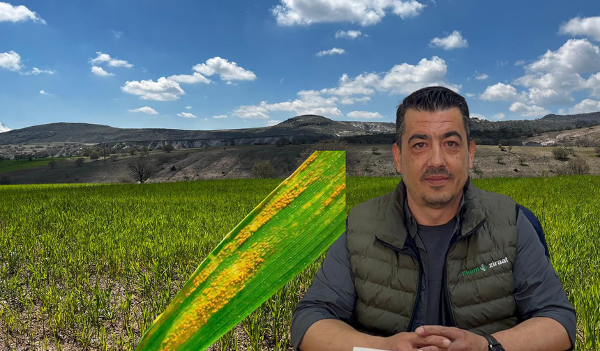 Niğde’de serin hava pas hastalığını tetikledi