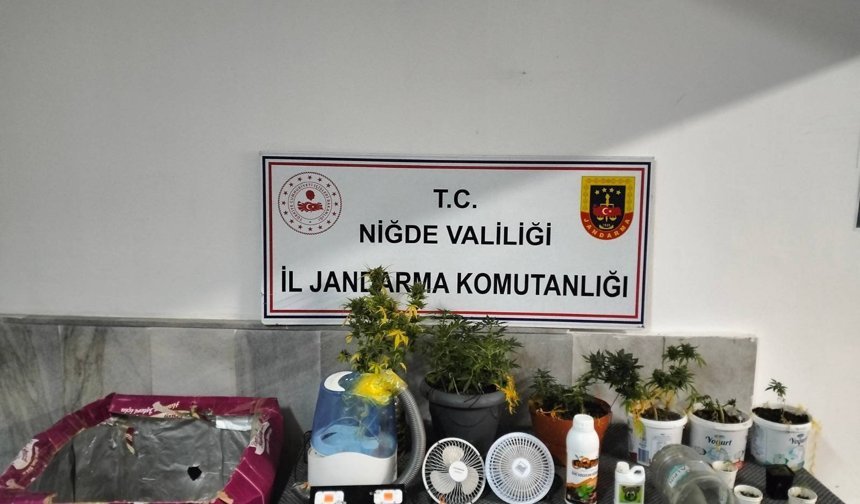 Niğde’de evde kenevir düzeneği ortaya çıkarıldı