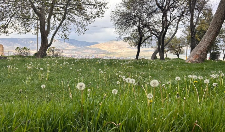 Soğuklar veda ediyor, bahar kendini gösteriyor