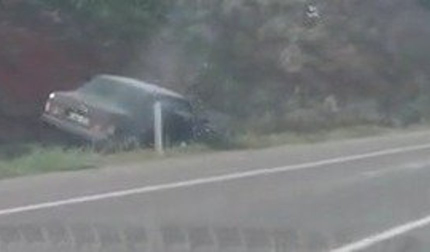 Niğde’de otomobil yol kenarına savruldu