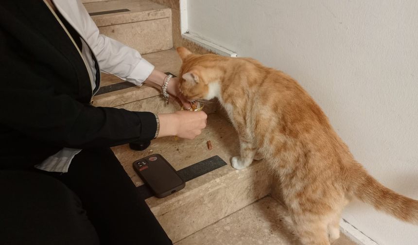 Niğde’de öğrenciden duyarlı hareket