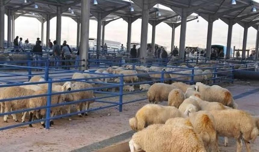 Niğde Belediyesi kurban kesim ve satış alanlarını belirledi