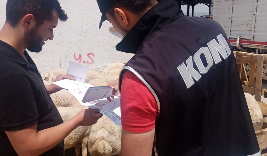 Niğde'de ekipler sahte para tuzağına karşı sahaya indiler