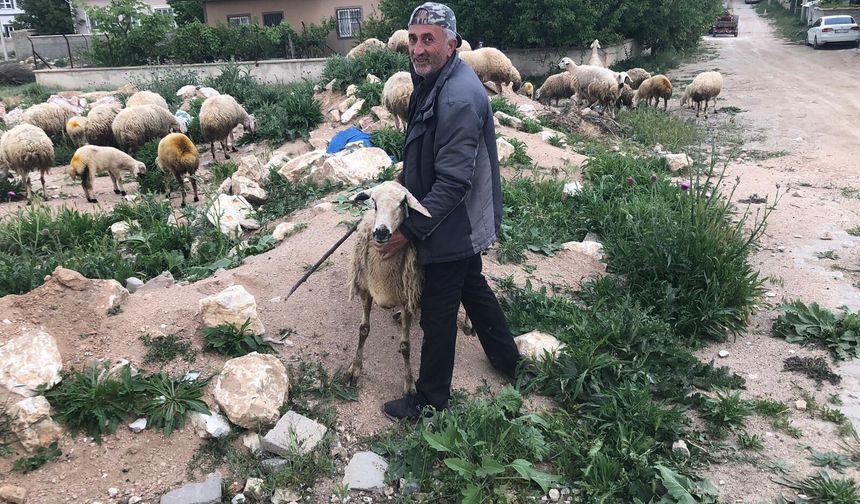 Niğde’de kurbanlık uyarısı: “Hayvanı görmeden almayın”