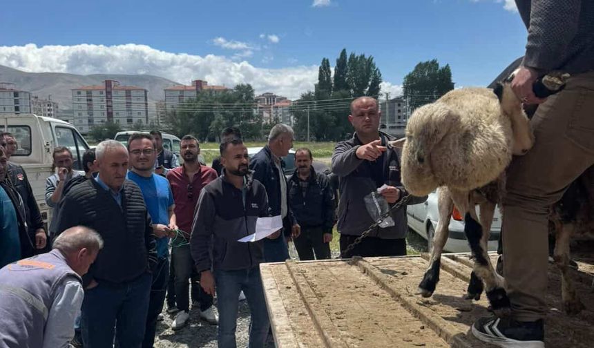 Niğde’de kalsit firmasından çalışanlarına kurbanlık hediyesi