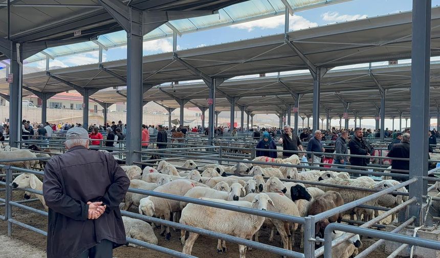 Niğde’de kurban pazarı hareketlendi: Besici de alıcı da pazarda