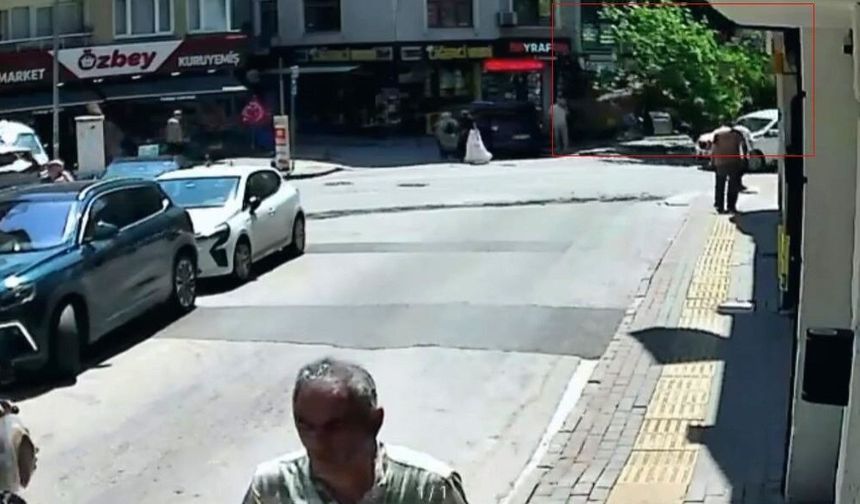 150 yıllık çınar devrildi