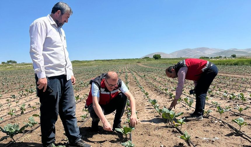 Bor'da dolu ve şiddetli yağış sonrası sahada hasar tespiti başladı