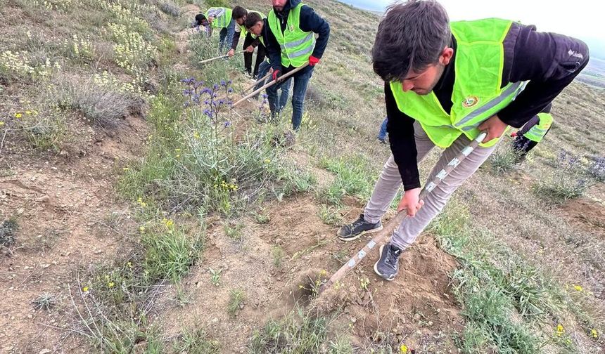 Gökbez köyünde fidanlar gelecek için çapalandı