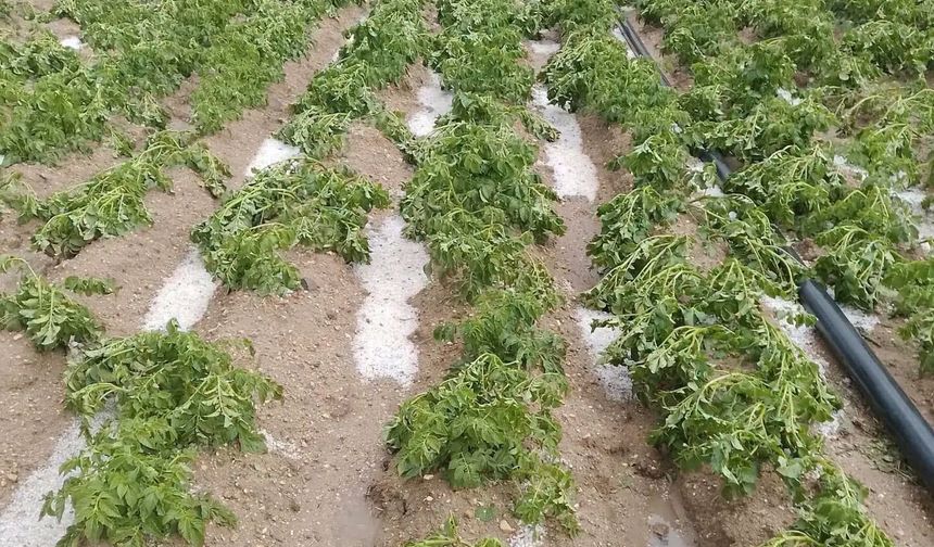 Milletvekili Cumali İnce: "Sürecin takipçisiyiz"