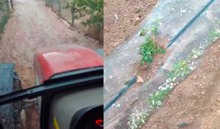 Afet zararları için başvurularda son gün