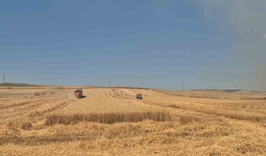 Alevlerle biçerdöver yarışı: Yangının dibinde zamanla yarış