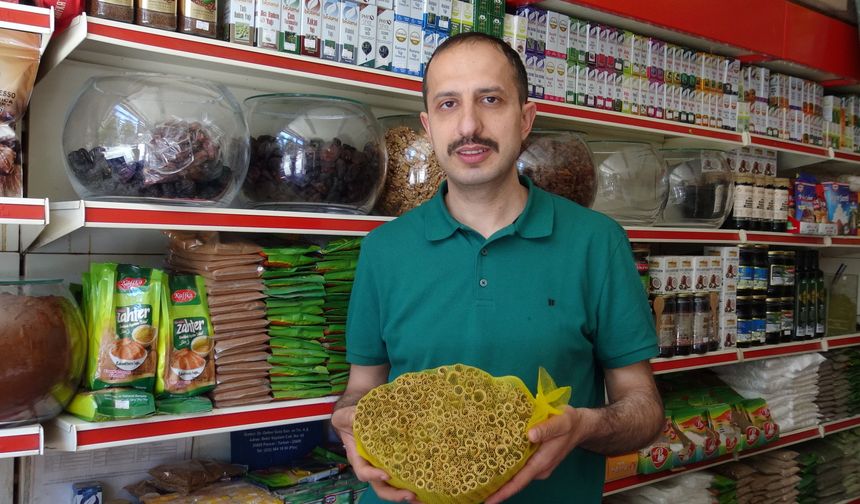 Bu bitkinin kokusu keneleri uzaklaştırabilir