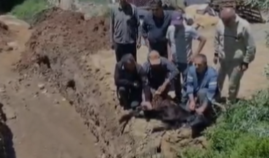 Kılavuz Köyü’nde şükür duası yapıldı