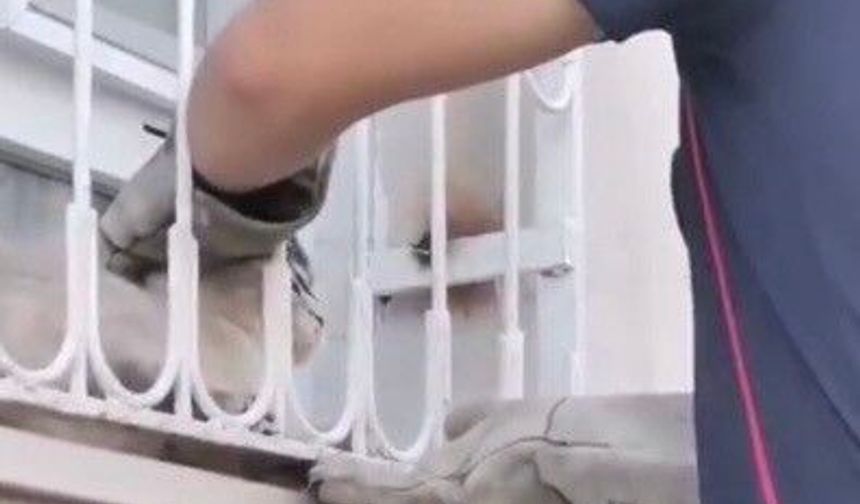 Patisi pencere demirine sıkışan kediyi itfaiye kurtardı
