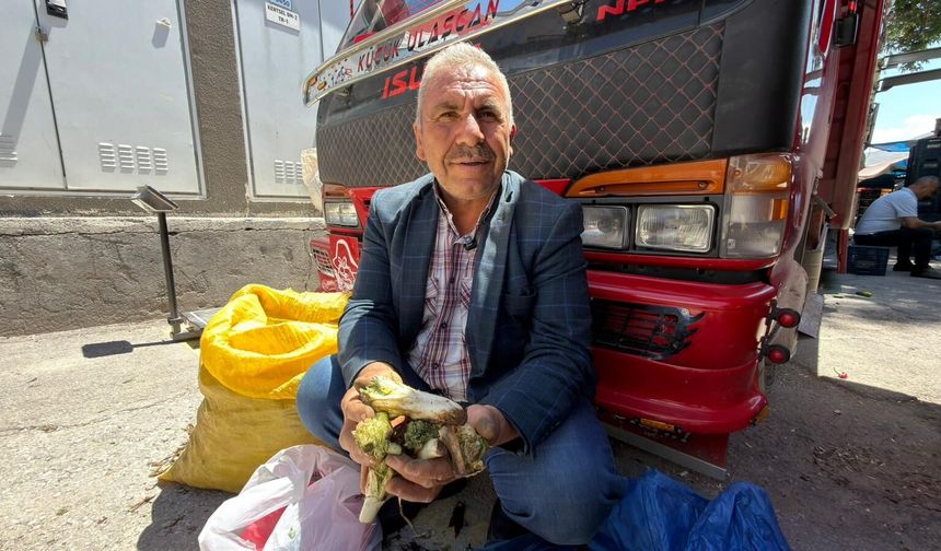 Dağdan kazıp getiriyor, kilosunu 100 TL’ye satıyor