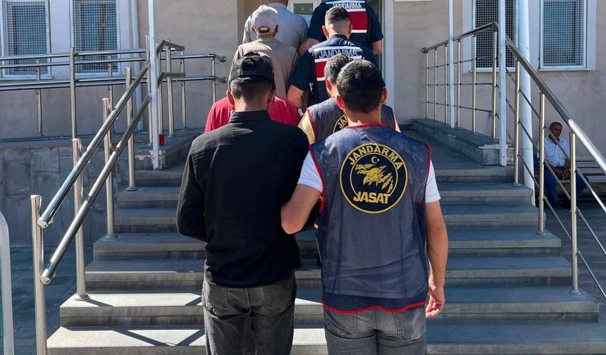 Konaklı'da gübre hırsızları yakayı ele verdi!
