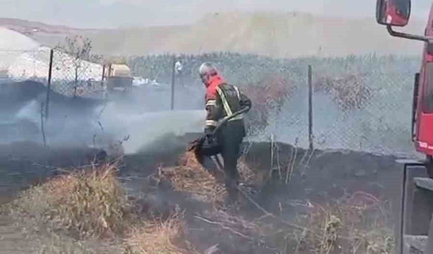 Bahçe yangını büyümeden söndürüldü